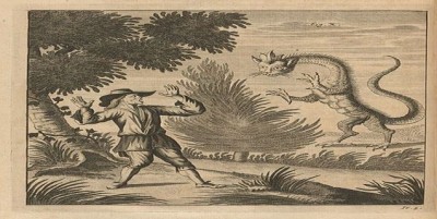 Tatzelwurm, el dragón de los Alpes