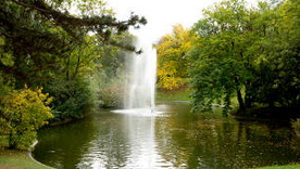 Más de 100 años de historia en Türkenschanzpark