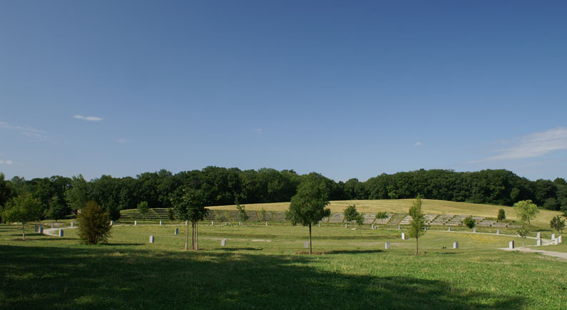 Am Himmel, los árboles místicos
