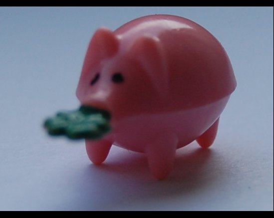 Los cerditos dan buena suerte