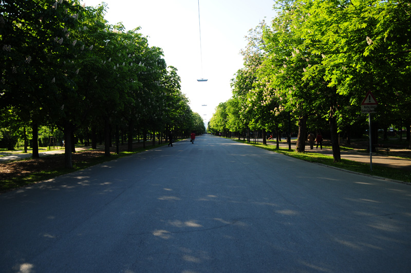 El parque más grande de la ciudad