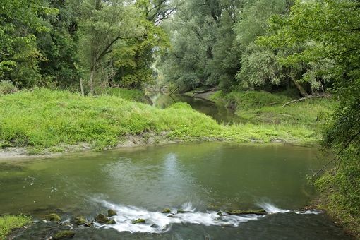 Lobau, la jungla de Viena